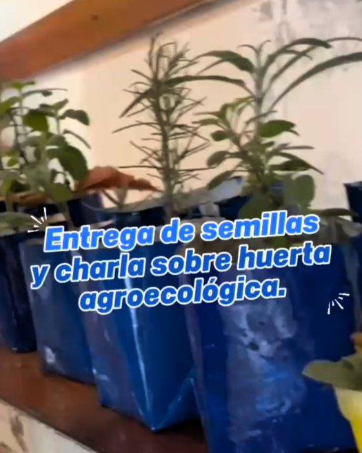 Charla de huerta agroecológica: dónde retirar tus semillas
